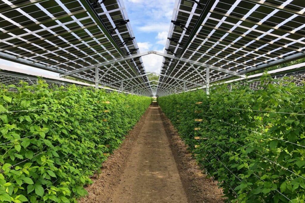 Solar power solutions for energy savings