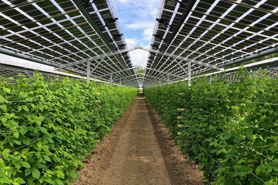Agricultural Solar Projects